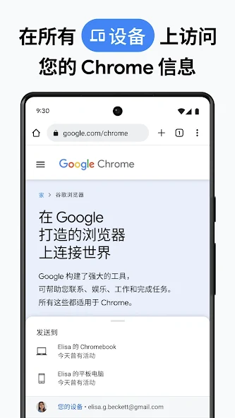 Google Chrome5